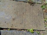 image of grave number 810567